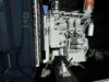 2013 MTU DS00250D6SPAH1574 250kW Diesel Generator Set - Image 12