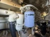 2008 Kohler 800REOZMB 800kW Diesel Generator Set - Image 20