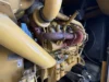 2004 CAT 3412 750kW Diesel Generator Set (Sold) - Image 23
